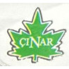 ÇINAR